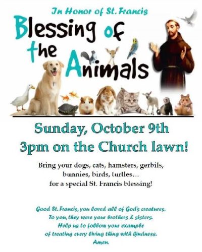 Blessing of the Animals1